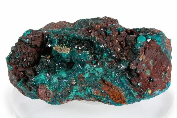 Sparkling Emerald-Green Dioptase Crystals on Matrix - Congo #348543